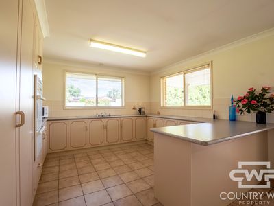 19 Potter Parade, Glen Innes