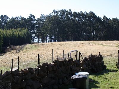 256 Lightwood Creek Road, Glen Huon