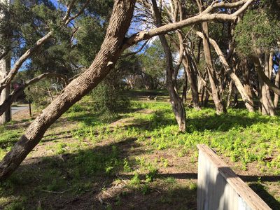 158 Dundas Street, Rye