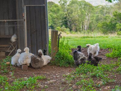 40 McGinn Road, Gheerulla