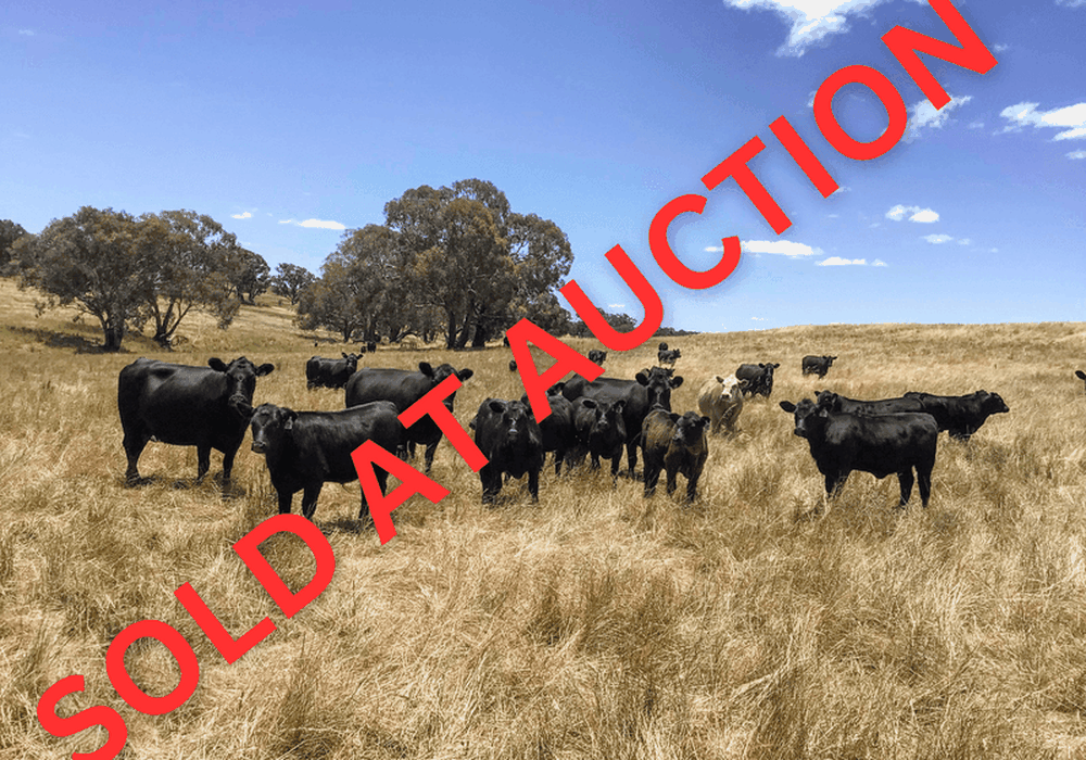 Lot 101 Strathmore Lane, Molong