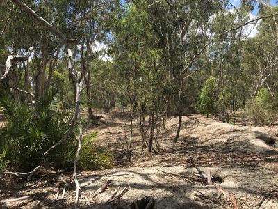 Lot 154, Murrabit Road, Koondrook