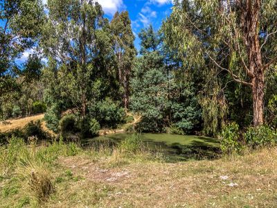 Jetty Road, Cygnet