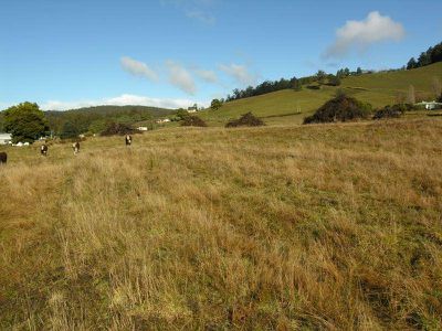 Lot 1 Arve Road, Geeveston
