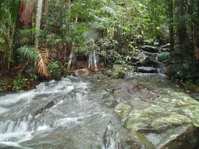 501 Mount Warning Road, Mount Warning