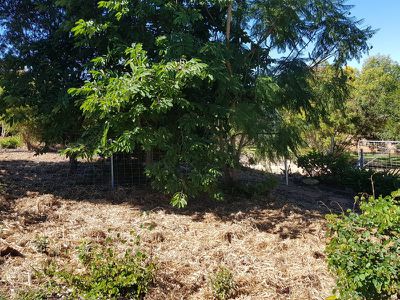 6 Neville Place, Kingaroy