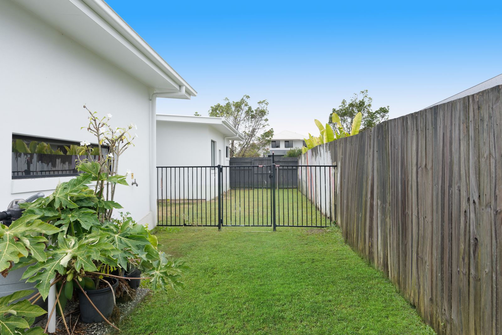 Photo 17 of 17, 131 The Avenue, Peregian Springs