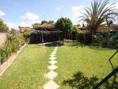 43 Viola Street, Punchbowl