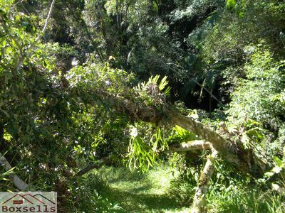 Maleny