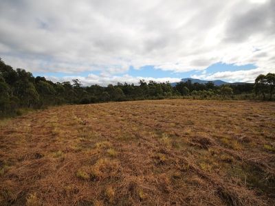 216 Lune River Road, Lune River