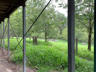 3935 Kyogle Road, Lillian Rock
