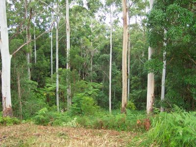 Maleny