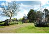 296 Wilsons Lane, Forest Reefs
