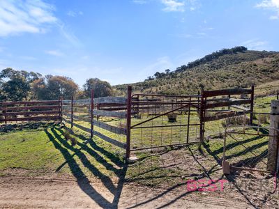 517 White Rocks Road, Lewis Ponds