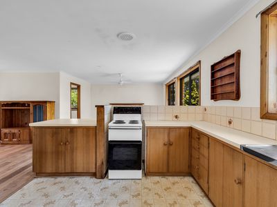 437 Greens Beach Road, Beaconsfield