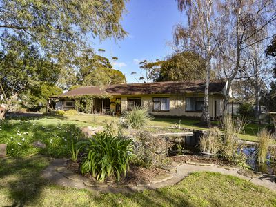 167 Williams Road, Millicent