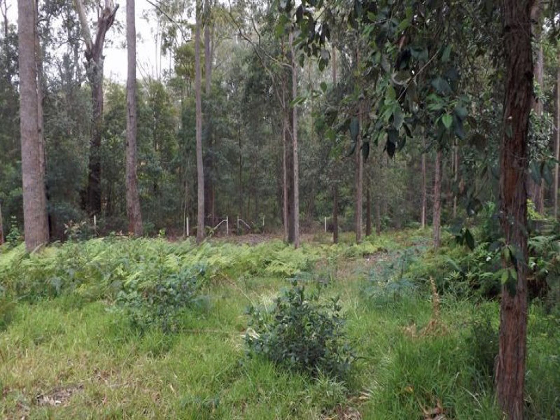 8A 8A Colden Place, Ulladulla