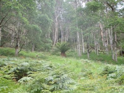 Lot 5 Wylies Road, Cradoc