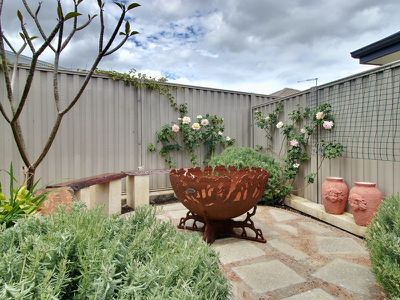 13 Icelandic Meander , Baldivis