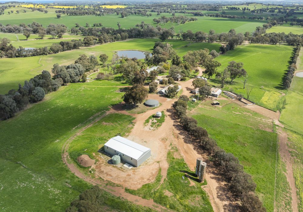 2056 Benalla-Yarrawonga Road, Bungeet West