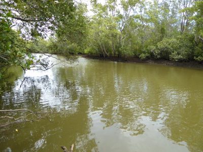 Lot 9 Mullumbimby Road, Mullumbimby