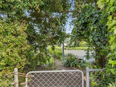 1/3 Ngaio Street, Takapuna