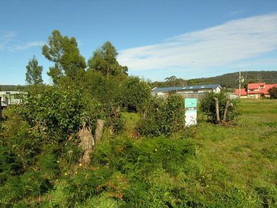 12 Wilsons Road, Deep Bay