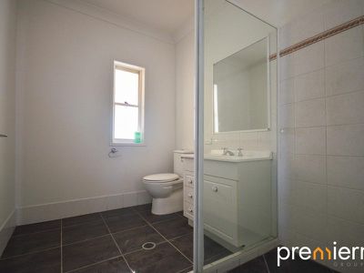 94 Buddleia Street, Inala