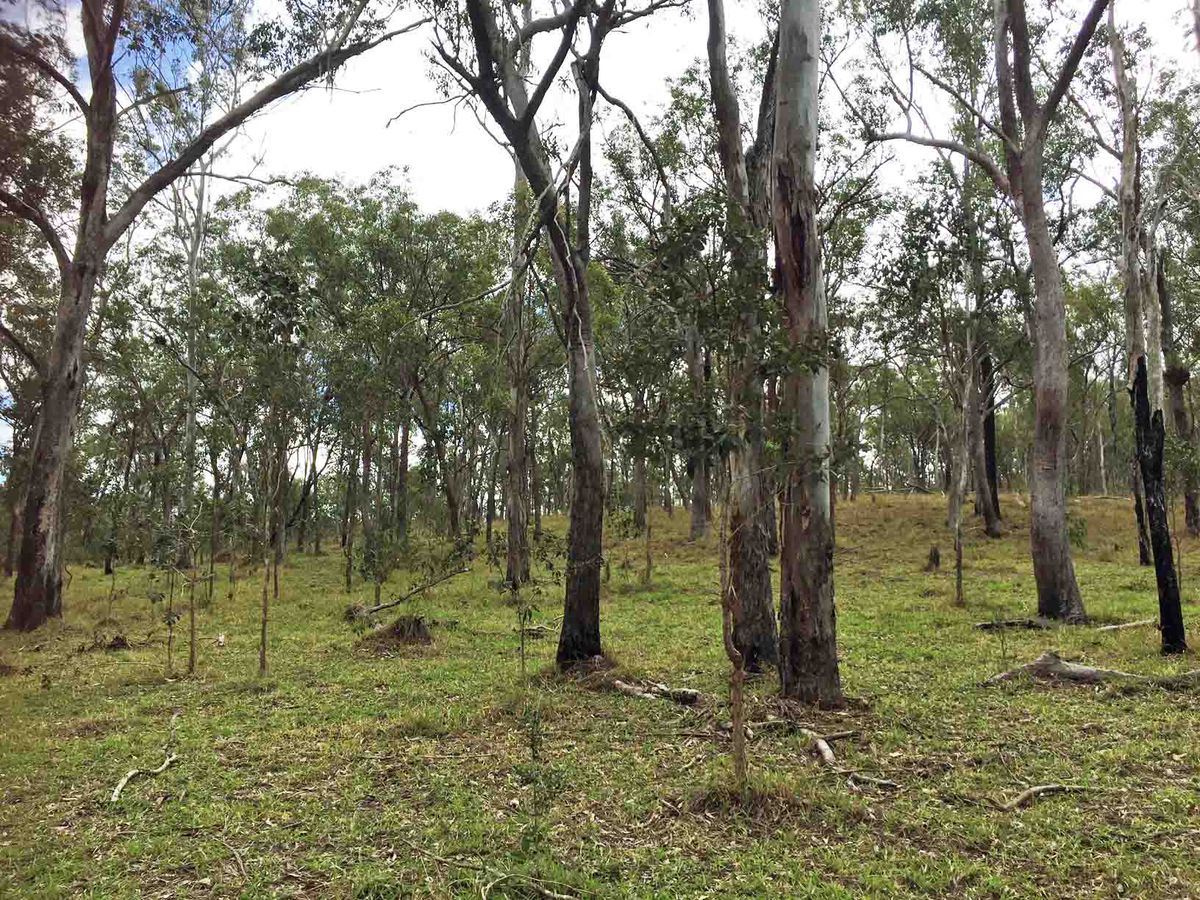 Lot 701-705, Rolley Road, Wondecla