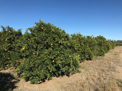 2 / Murray Road, Murrabit