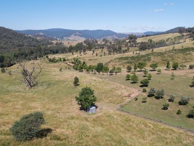 3852 Jingellic Road, Lankeys Creek