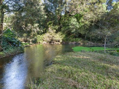 1242 Tuntable Creek Road, Nimbin