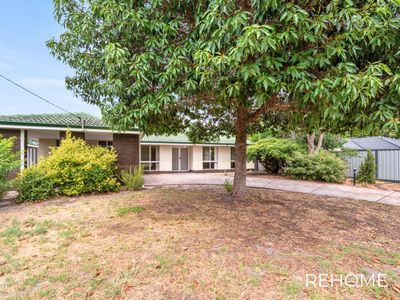 3 Orberry Place, Thornlie