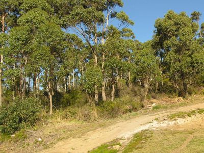 Lot 4 Hill Street, Geeveston