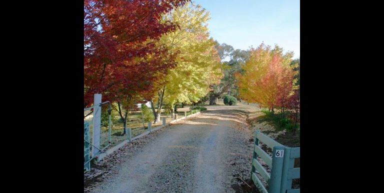 Strathbogie