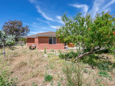 15 Tomlinson Place, Armadale