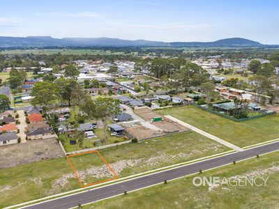 21 Tree Frog Street, South Nowra