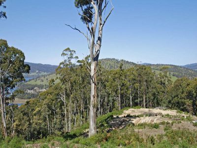 Lot 3 Doodys Hill Road, Port Huon