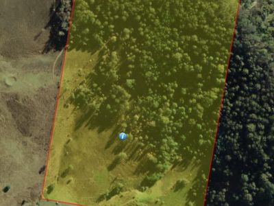 Lot 31, 4252 Nowendoc Road, Number One