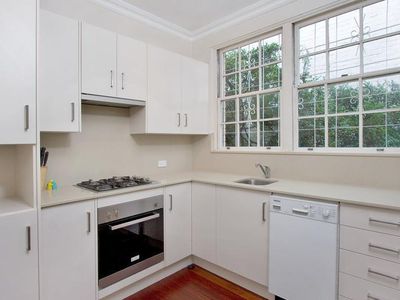 8 / 50B Ocean Street, Woollahra