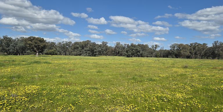 393 Mansfield Road, Euroa