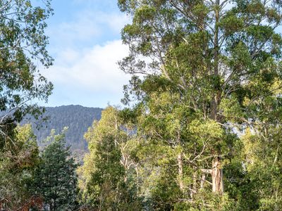256 Bradys Lake Road, Bradys Lake