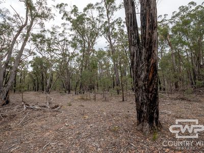 Lot 73/74, Strathbogie Road, Wellingrove