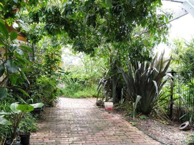 564 Back Creek Road, Lochiel