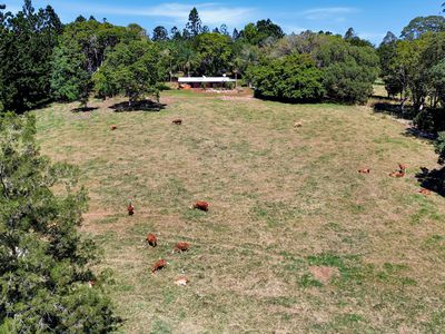 238 Ball Road, Peeramon