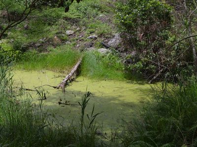 L179 Kilcoy Lane, Conondale