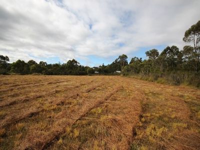 216 Lune River Road, Lune River