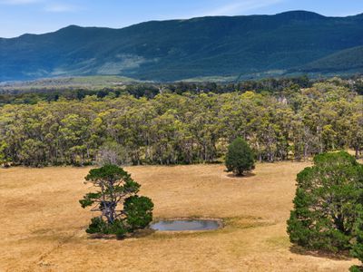 496 Blackwood Creek Road (access via Hodgetts Road), Blackwood Creek