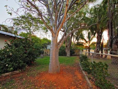 4 Rosewood Ave, Kununurra