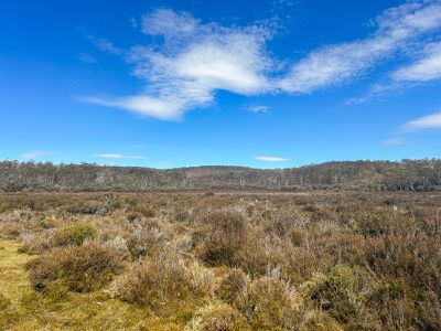 331L Arthurs Lake Road, Arthurs Lake